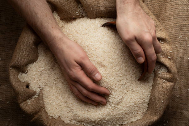 برنج صدری